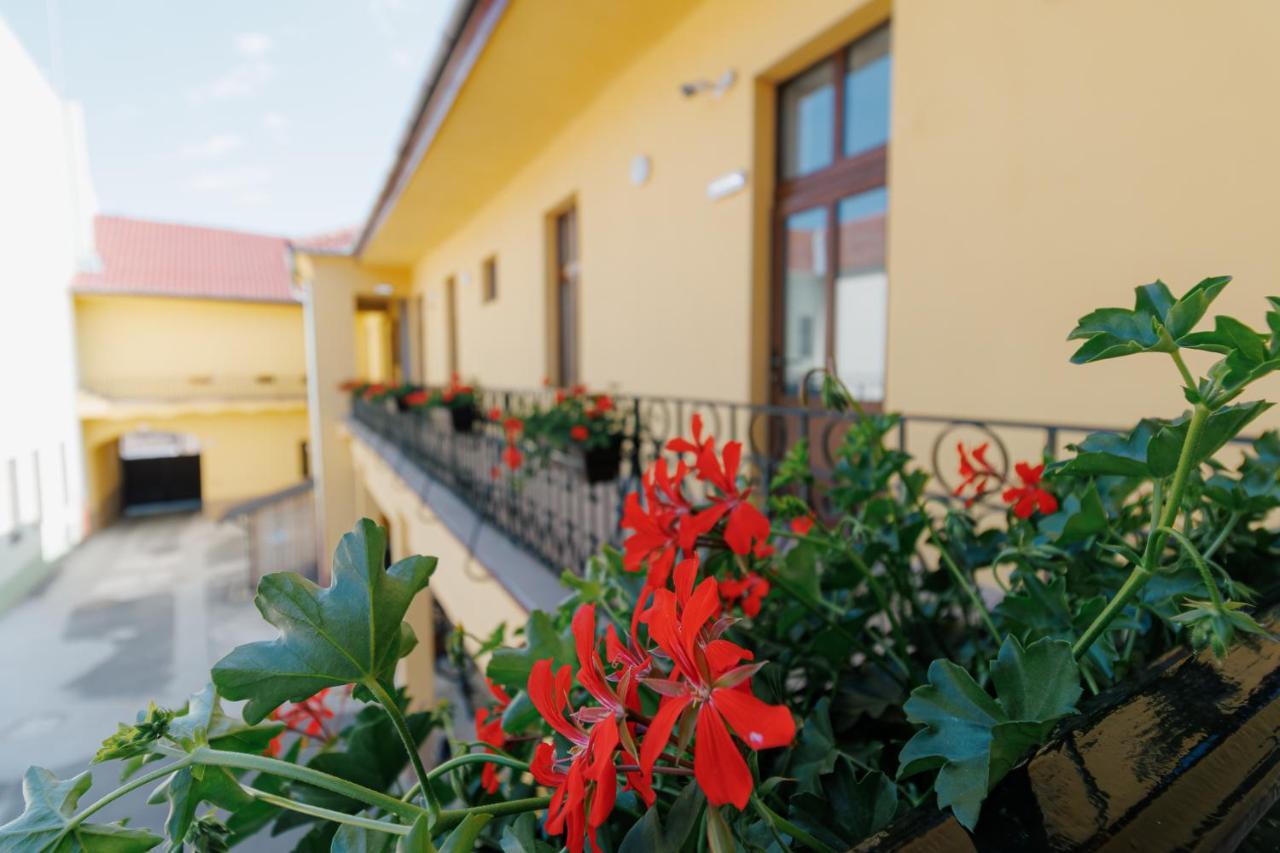 Collegium Varadinum Oradea Exterior photo
